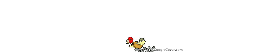 Mechanical Bird Google Cover