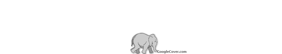 Walking Elephant Google Cover