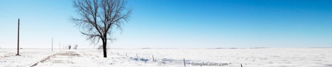 Lonely Tree in Snow Google Cover