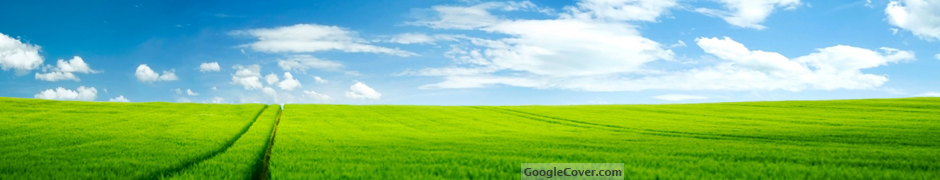 Green Field Google Cover