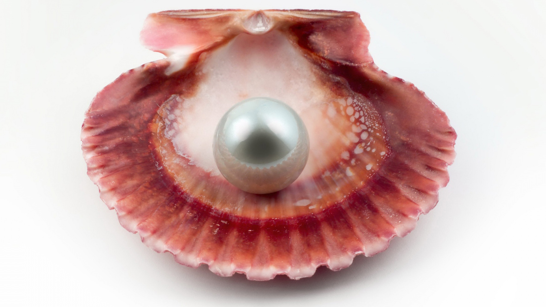 Pearl Google Cover