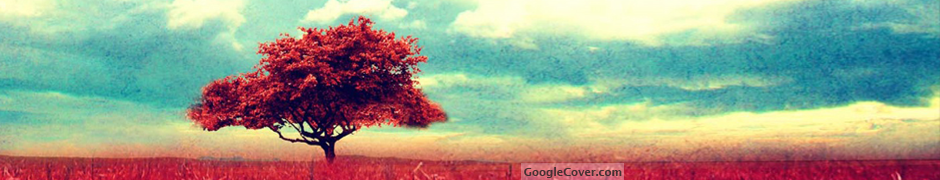 Red Tree Google Cover