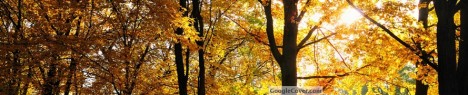 Autumn Season Google Cover
