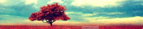 Red Tree Google Cover