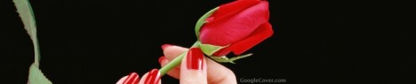 Rose in Hand Google Cover