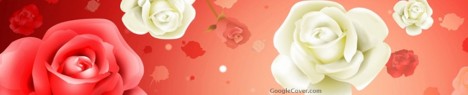 Roses Google Cover