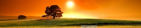 Sunny Day Google Cover